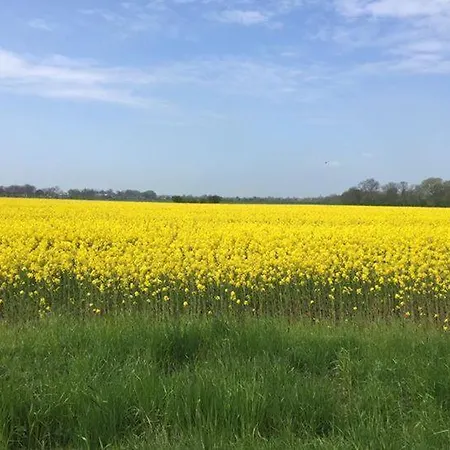 Fehmarn-sonne-meer