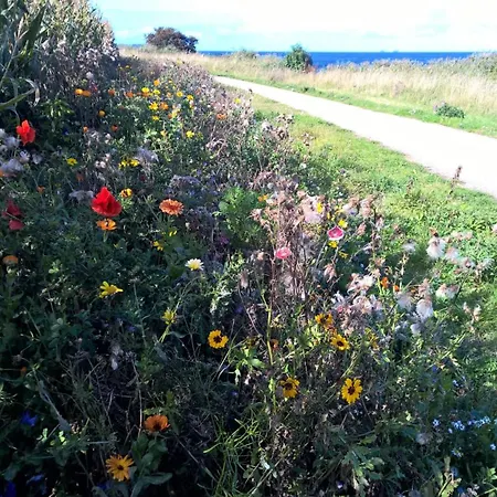 Fehmarn-sonne-meer *