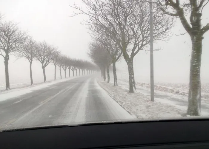 Fehmarn Sonne Apartment